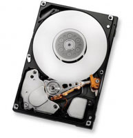 Hitachi C10K300 147Gb (0B23700) Hitachi C10K300 147Gb (0B23700)